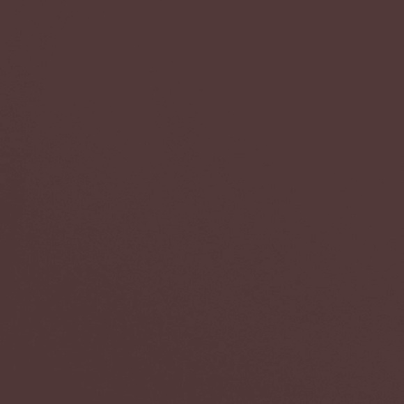 Mahogany Brown Paint